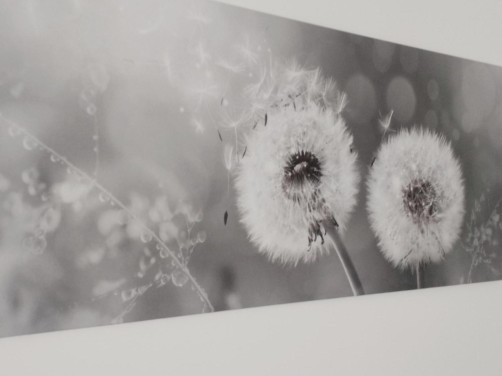 Appartamento Nonna Milde Asís Exterior foto